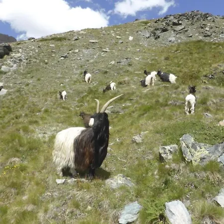 Rustica 4 By Interhome