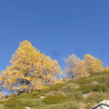 Rustica 4 By Interhome 아파트 사스-알마겔