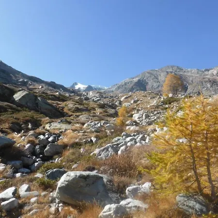 Rustica 4 By Interhome