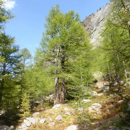 Rustica 4 By Interhome Lejlighed *