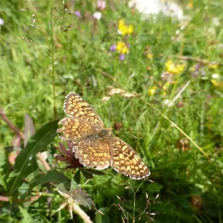 Rustica 4 By Interhome 아파트 *