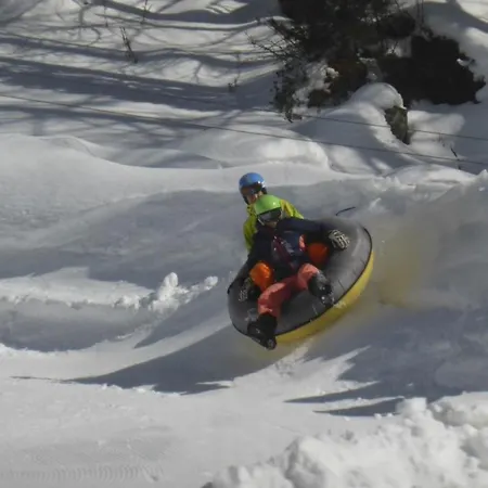 Lejlighed Rustica 4 By Interhome Saas-Almagell