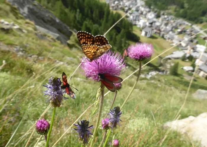 شقة Rustica 4 By Interhome *