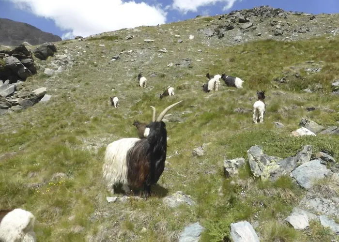 Rustica 4 By Interhome