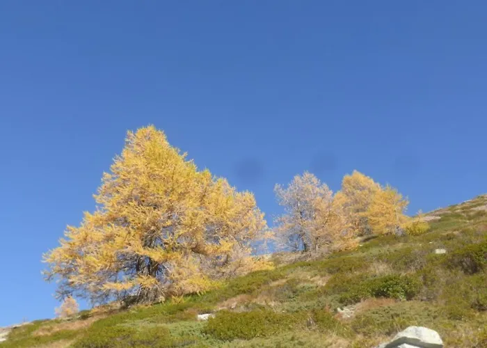 Rustica 4 By Interhome アパート サース・アルマゲル