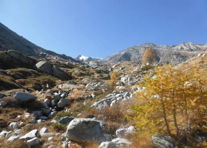 Rustica 4 By Interhome