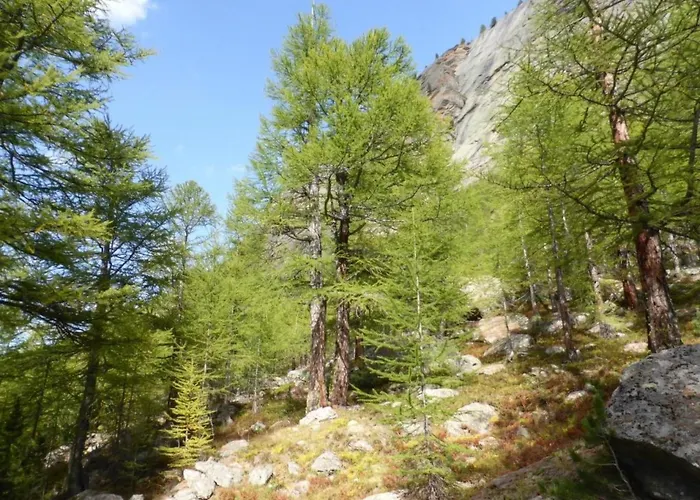 Rustica 4 By Interhome شقة *